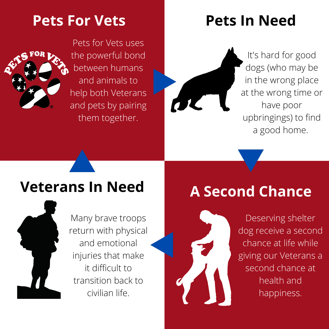 13 Stars - Pets for Vets Information
