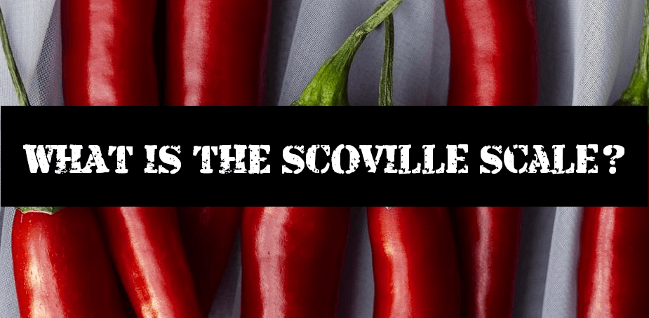 What is the scoville scale?