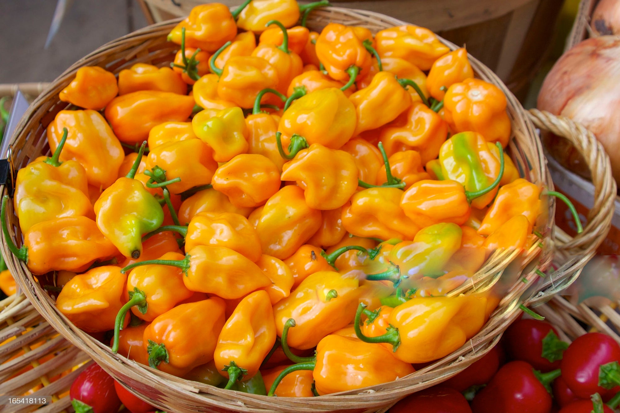 The History of the Habanero Pepper