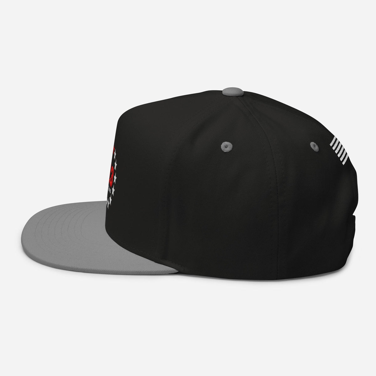 13 Stars Flat Bill Snapback - 13 Stars Hot Sauce