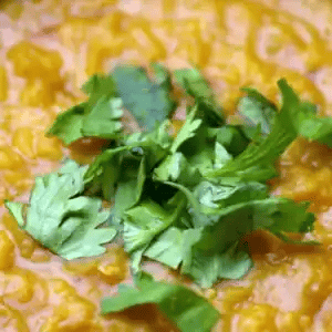 Close-up of a dish with yellow rice and green herbs